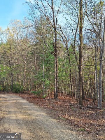 0 Mull Lane Circle, Morganton, GA 30560