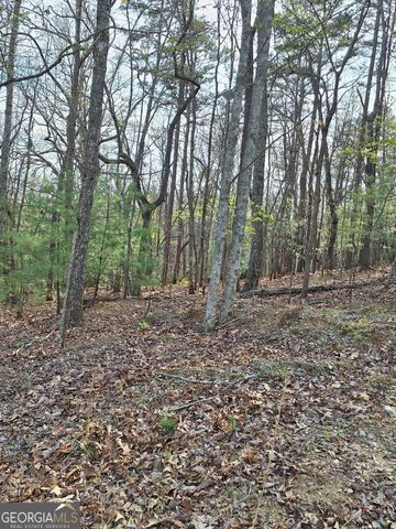 0 Mull Lane Circle, Morganton, GA 30560