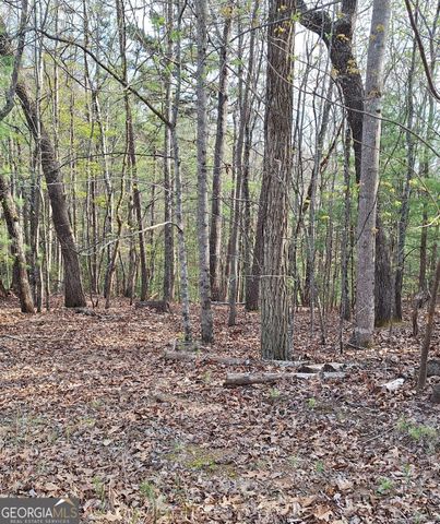 0 Mull Lane Circle, Morganton, GA 30560