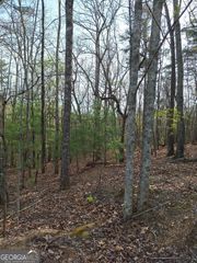 0 Mull Lane Circle, Morganton, GA 30560