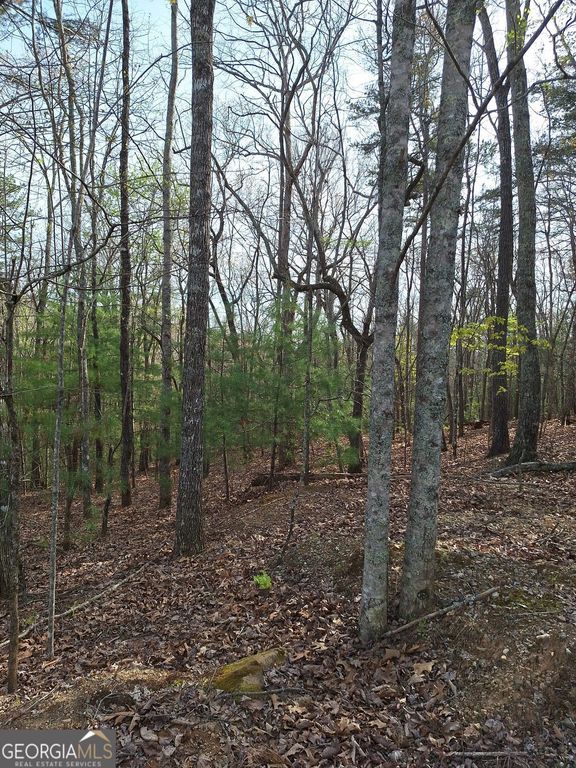 0 Mull Lane Circle, Morganton, GA 30560