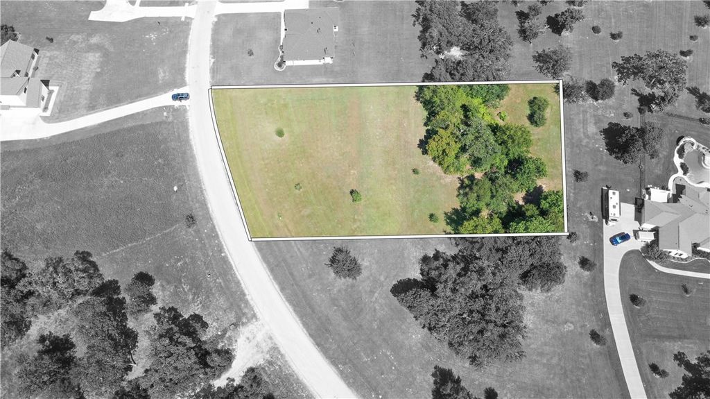 10239 Henley Cove, Iola, TX 77861 — exterior