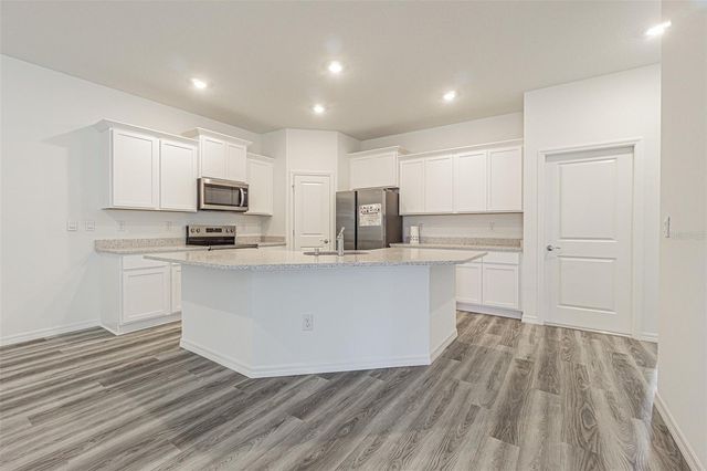 31415 PAPER BIRCH STREET, Wesley Chapel, FL 33545