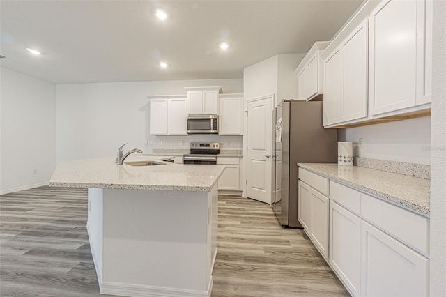 31415 PAPER BIRCH STREET, Wesley Chapel, FL 33545