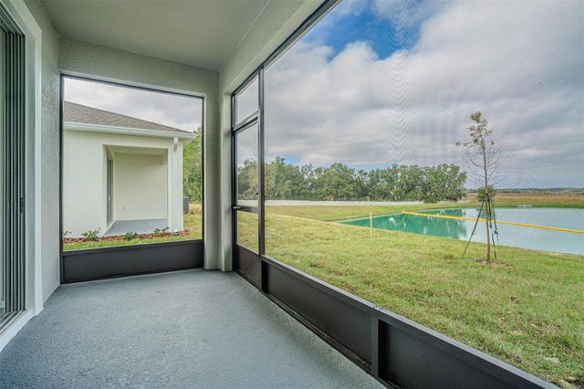 31415 PAPER BIRCH STREET, Wesley Chapel, FL 33545