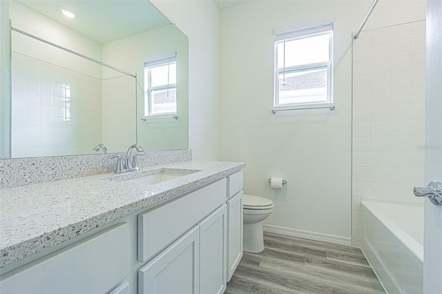 31415 PAPER BIRCH STREET, Wesley Chapel, FL 33545