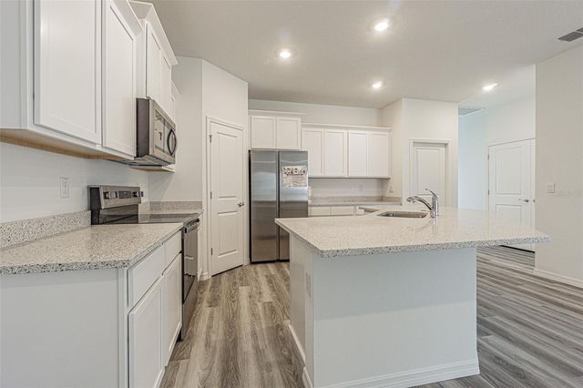 31415 PAPER BIRCH STREET, Wesley Chapel, FL 33545