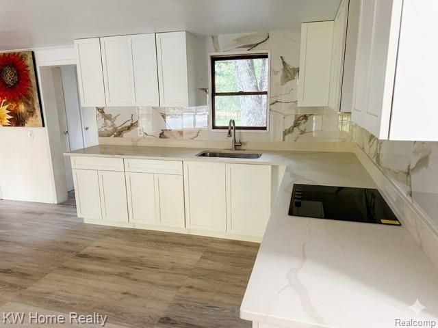 4456 Five Lakes Road, North Branch Township, MI 48461