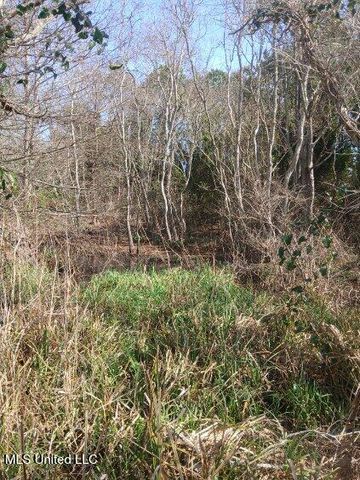 Lot 1 Swetman Beach Drive, Gautier, MS 39553