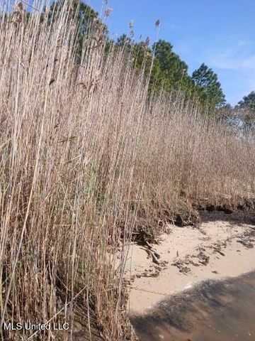 Lot 1 Swetman Beach Drive, Gautier, MS 39553