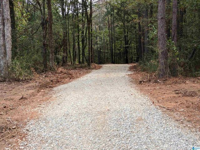 16091 JACKSON TRACE ROAD, Lincoln, AL 35096