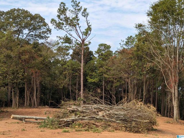 16091 JACKSON TRACE ROAD, Lincoln, AL 35096