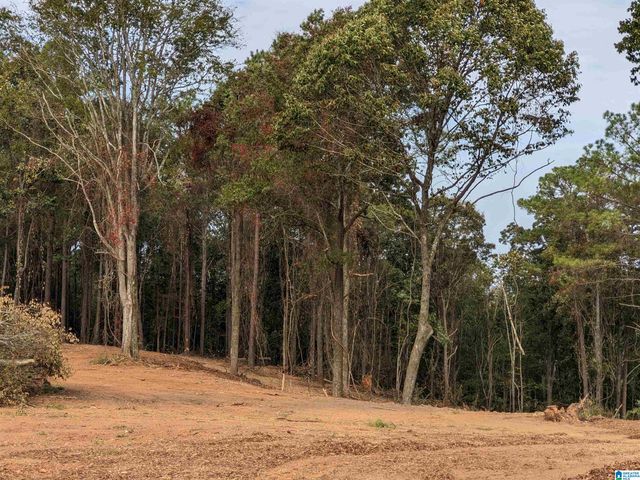 16091 JACKSON TRACE ROAD, Lincoln, AL 35096