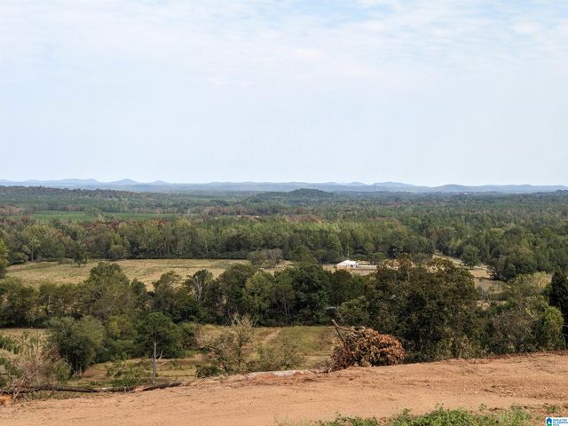 16091 JACKSON TRACE ROAD, Lincoln, AL 35096