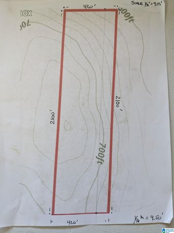 16091 JACKSON TRACE ROAD, Lincoln, AL 35096