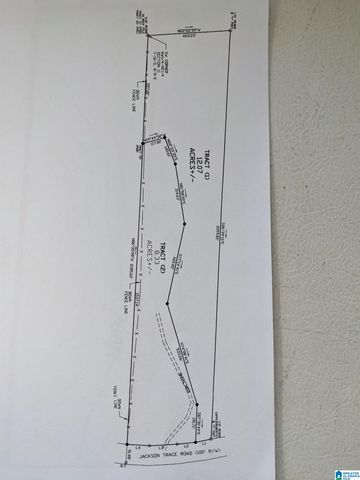 16091 JACKSON TRACE ROAD, Lincoln, AL 35096