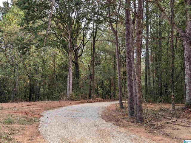 16091 JACKSON TRACE ROAD, Lincoln, AL 35096