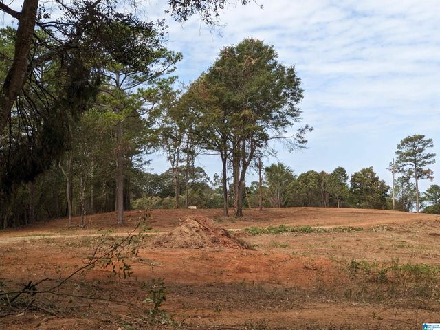 16091 JACKSON TRACE ROAD, Lincoln, AL 35096