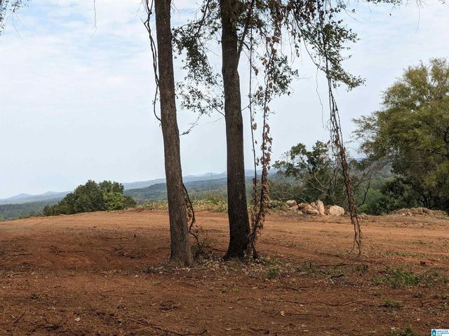 16091 JACKSON TRACE ROAD, Lincoln, AL 35096