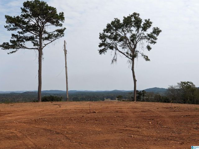 16091 JACKSON TRACE ROAD, Lincoln, AL 35096