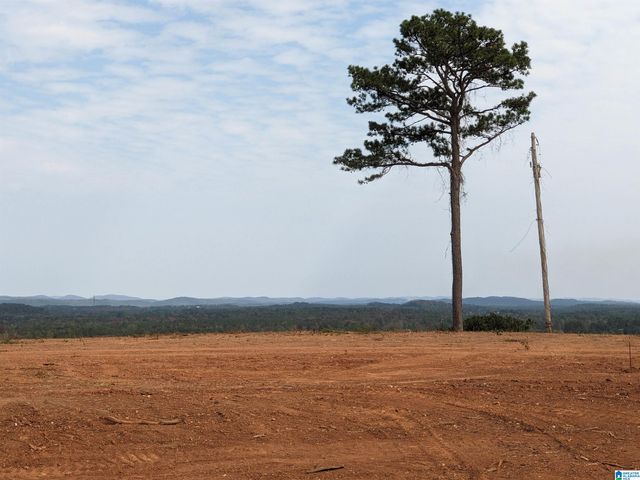 16091 JACKSON TRACE ROAD, Lincoln, AL 35096