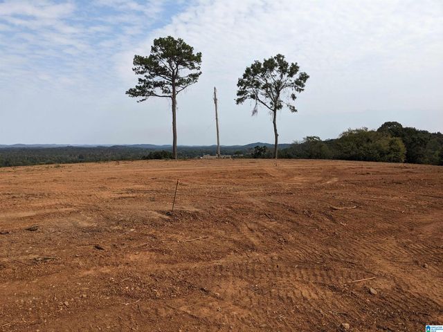 16091 JACKSON TRACE ROAD, Lincoln, AL 35096