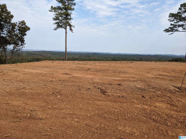 16091 JACKSON TRACE ROAD, Lincoln, AL 35096