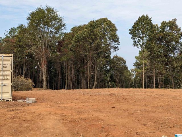 16091 JACKSON TRACE ROAD, Lincoln, AL 35096