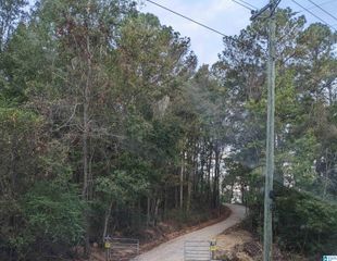 16091 JACKSON TRACE ROAD, Lincoln, AL 35096