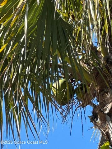 6570 S Floridana Avenue S, Melbourne Beach, FL 32951