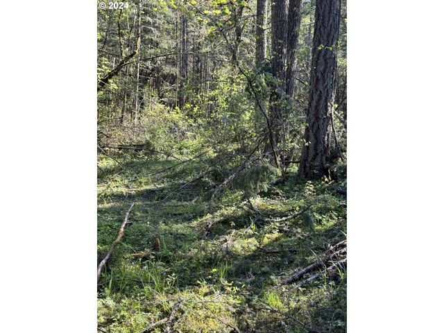 S 73rd Ave, Springfield, OR 97478