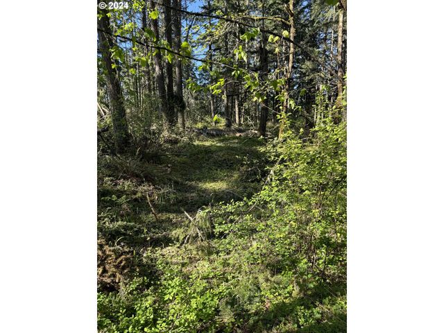 S 73rd Ave, Springfield, OR 97478