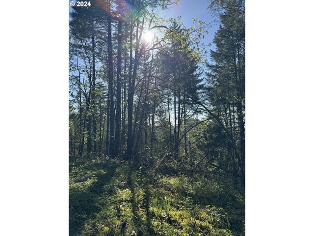 S 73rd Ave, Springfield, OR 97478