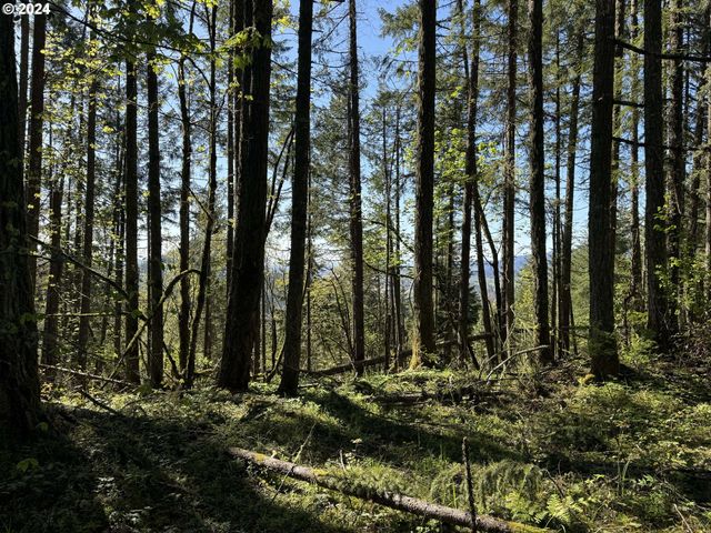 S 73rd Ave, Springfield, OR 97478