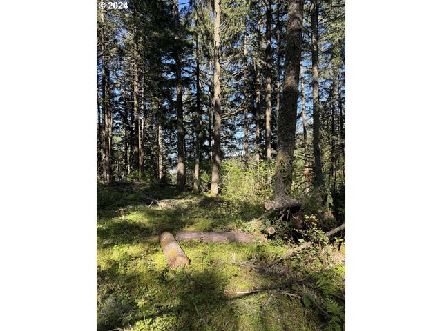 S 73rd Ave, Springfield, OR 97478