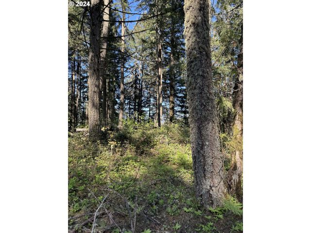 S 73rd Ave, Springfield, OR 97478