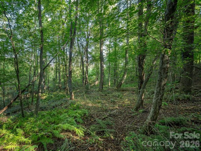 189 ODonald Road Lot 3, Asheville, NC 28806
