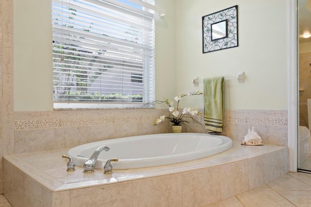 17888 ARBOR GREENE DRIVE, Tampa, FL 33647