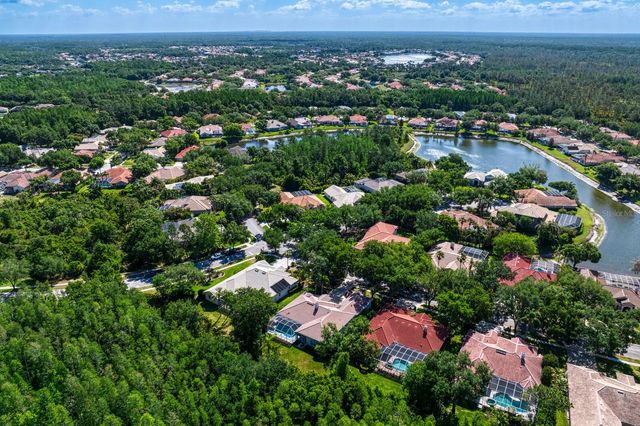 17888 ARBOR GREENE DRIVE, Tampa, FL 33647