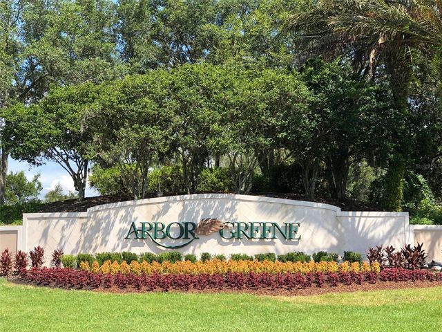 17888 ARBOR GREENE DRIVE, Tampa, FL 33647