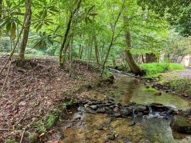 4348 White Oak Drive, Hiawassee, GA 30546