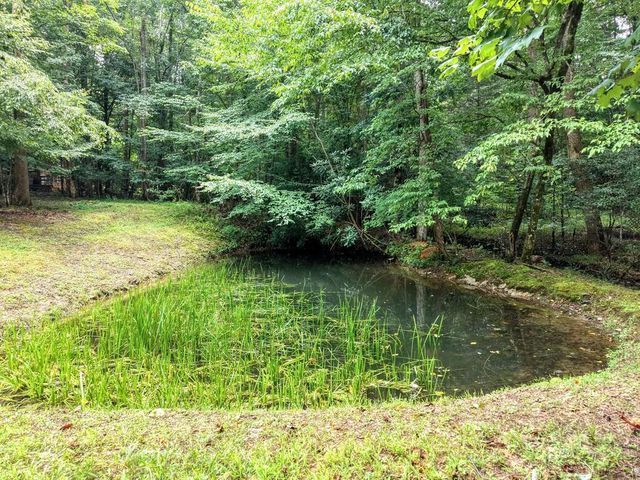 4348 White Oak Drive, Hiawassee, GA 30546