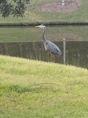 2910 Gantt Drive, Johns Island, SC 29455
