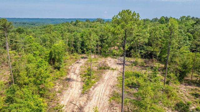 Tract 6 Harmony Mountain Road, Clinton, AR 72031