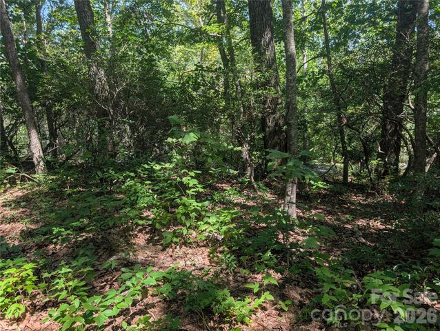 1824 Old Mill Road, Hendersonville, NC 28792