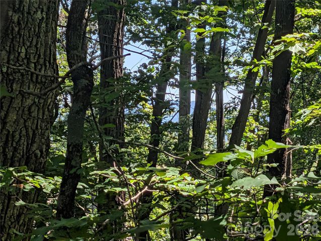 1824 Old Mill Road, Hendersonville, NC 28792
