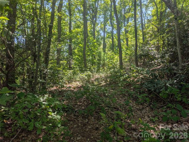 1824 Old Mill Road, Hendersonville, NC 28792