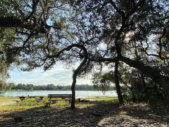 10819 SE 190TH COURT, Ocklawaha, FL 32179