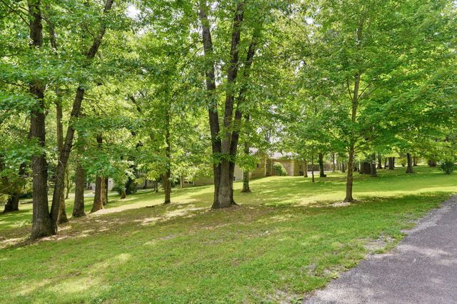 205 Nice Place Road, Clever, MO 65631