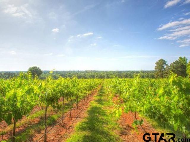 739 FM 344 W, Bullard, TX 75757